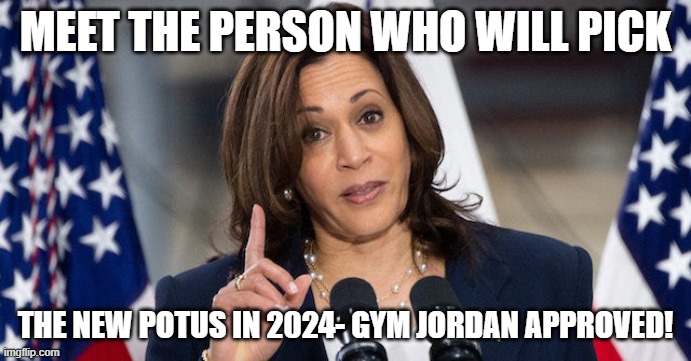 VP Harris border response | MEET THE PERSON WHO WILL PICK; THE NEW POTUS IN 2024- GYM JORDAN APPROVED! | image tagged in vp harris border response | made w/ Imgflip meme maker