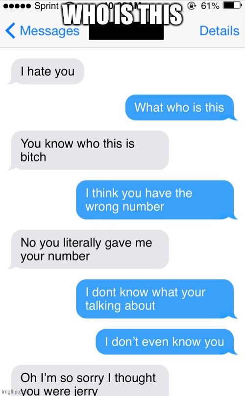 What | WHO IS THIS | image tagged in text messages | made w/ Imgflip meme maker