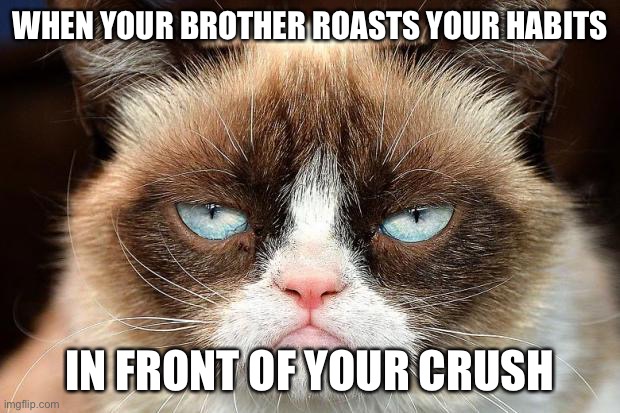 Grumpy Cat Not Amused Meme | WHEN YOUR BROTHER ROASTS YOUR HABITS IN FRONT OF YOUR CRUSH | image tagged in memes,grumpy cat not amused,grumpy cat | made w/ Imgflip meme maker