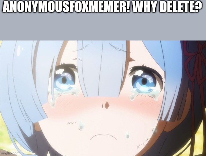 She did... | ANONYMOUSFOXMEMER! WHY DELETE? | image tagged in crying anime girl | made w/ Imgflip meme maker