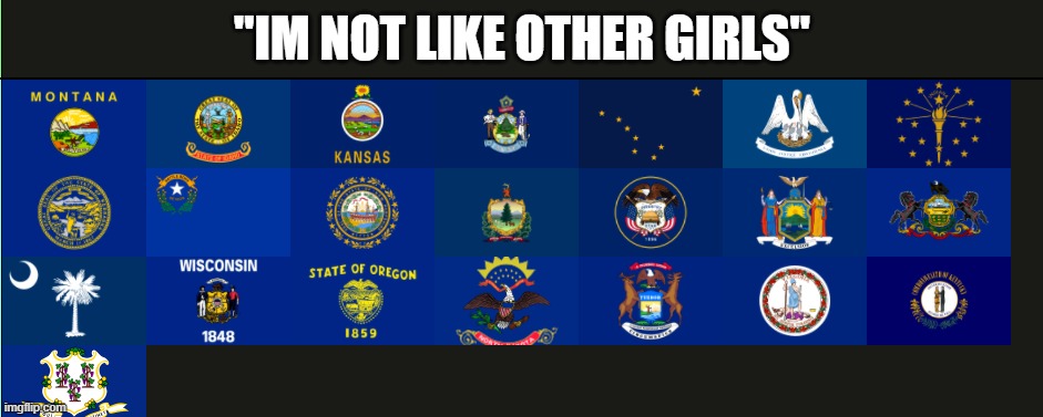 Us state flags be like | "IM NOT LIKE OTHER GIRLS" | image tagged in flags,geography | made w/ Imgflip meme maker