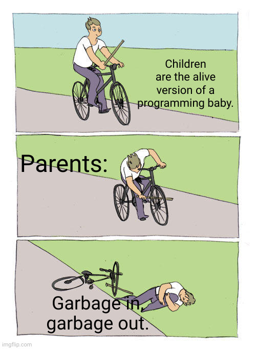 stick in the cog | Children are the alive version of a programming baby. Parents:; Garbage in, garbage out. | image tagged in memes,bike fall | made w/ Imgflip meme maker