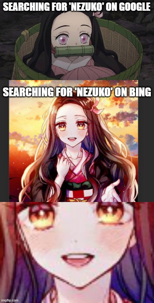 makes sense though lol | SEARCHING FOR 'NEZUKO' ON GOOGLE; SEARCHING FOR 'NEZUKO' ON BING | made w/ Imgflip meme maker