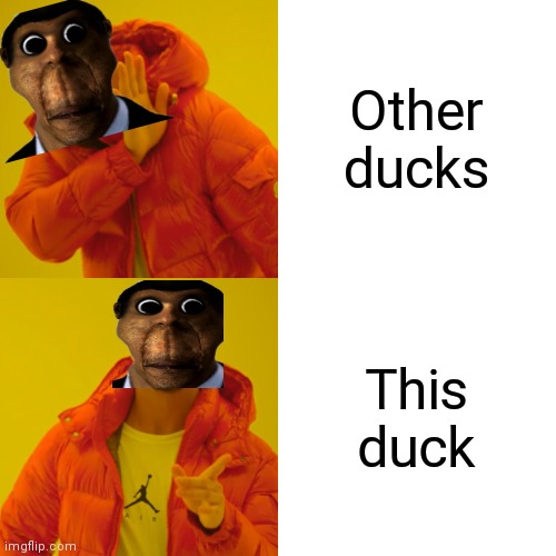 Drake Hotline Bling Meme | Other ducks This duck | image tagged in memes,drake hotline bling | made w/ Imgflip meme maker