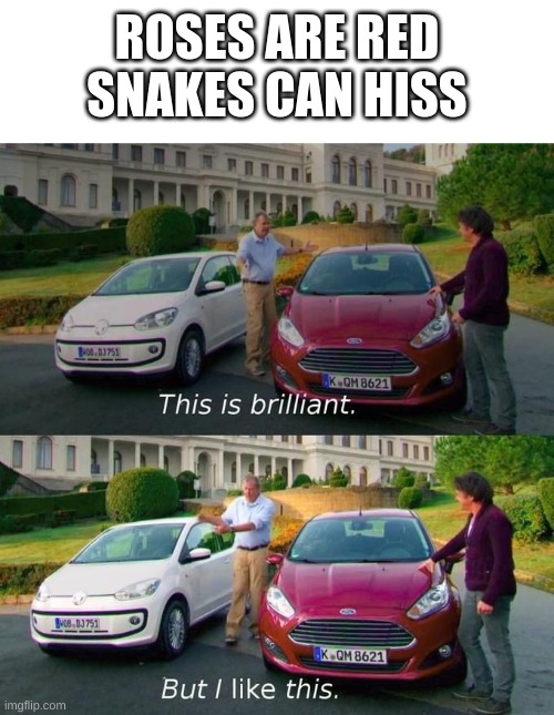 Meme | ROSES ARE RED
SNAKES CAN HISS | image tagged in this is brilliant but i like this | made w/ Imgflip meme maker