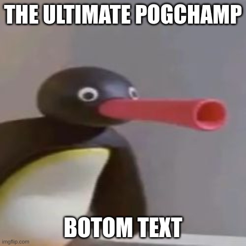 NOOT NOOT, MOTHERFU- | THE ULTIMATE POGCHAMP; BOTOM TEXT | made w/ Imgflip meme maker