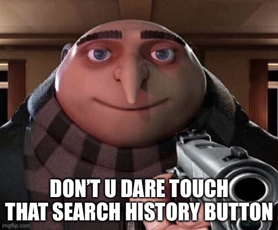 Mom don’t touch it |  DON’T U DARE TOUCH THAT SEARCH HISTORY BUTTON | image tagged in gru gun | made w/ Imgflip meme maker