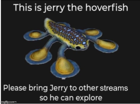 Jerry | made w/ Imgflip meme maker