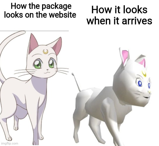I couldn't think of a title | How it looks when it arrives; How the package looks on the website | image tagged in super artemis 64,package,sailor moon | made w/ Imgflip meme maker