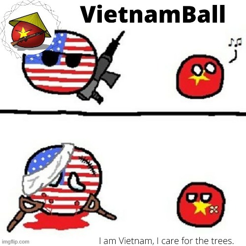 so snowy gave me this temp. Check the tags lmao | image tagged in vietnamballs chinese knockoff temp | made w/ Imgflip meme maker