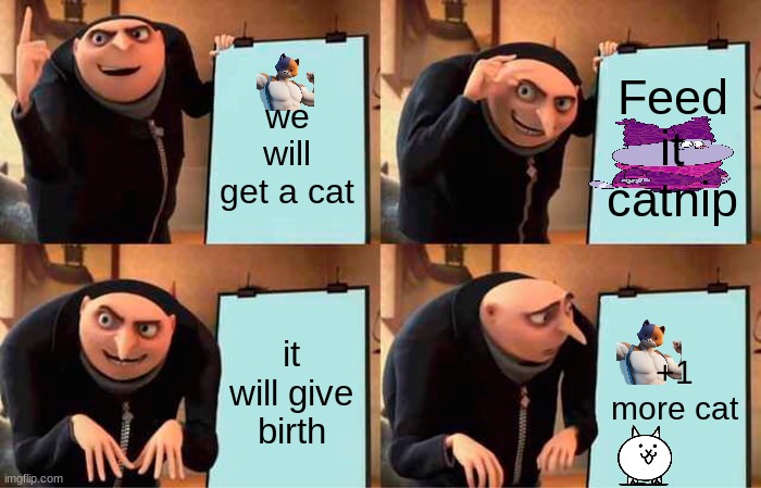 Gru's Plan | Feed it catnip; we will get a cat; +1 more cat; it will give birth | image tagged in memes,gru's plan | made w/ Imgflip meme maker