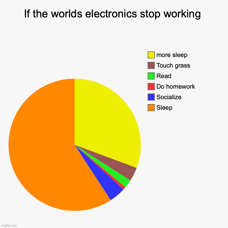 If the worlds electronics stop working | Sleep, Socialize, Do homework, Read, Touch grass, more sleep | image tagged in charts,pie charts | made w/ Imgflip chart maker