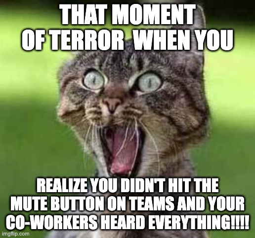 scared cat | THAT MOMENT OF TERROR  WHEN YOU; REALIZE YOU DIDN'T HIT THE MUTE BUTTON ON TEAMS AND YOUR CO-WORKERS HEARD EVERYTHING!!!! | image tagged in scared cat | made w/ Imgflip meme maker