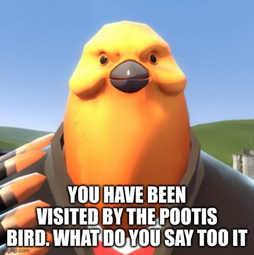  YOU HAVE BEEN VISITED BY THE POOTIS BIRD. WHAT DO YOU SAY TOO IT | image tagged in pootis bird | made w/ Imgflip meme maker