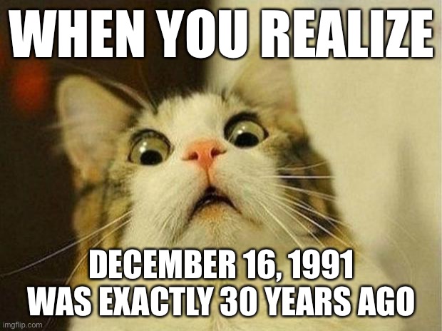 Mission report | WHEN YOU REALIZE; DECEMBER 16, 1991 WAS EXACTLY 30 YEARS AGO | image tagged in memes,scared cat,marvel,captain america civil war,mission report | made w/ Imgflip meme maker