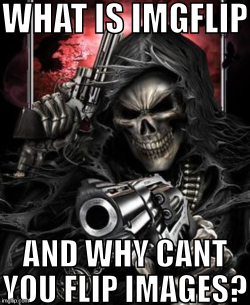 WHAT IS IMGFLIP; AND WHY CANT YOU FLIP IMAGES? | image tagged in imgflip | made w/ Imgflip meme maker