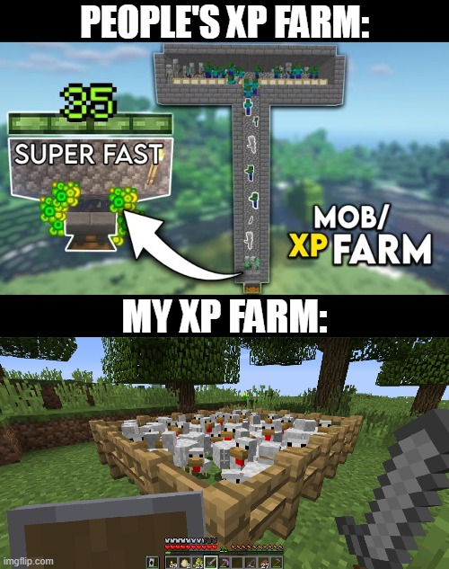 just breed a bunch of chicken's and get a xp that's what i do | PEOPLE'S XP FARM:; MY XP FARM: | image tagged in minecraft | made w/ Imgflip meme maker