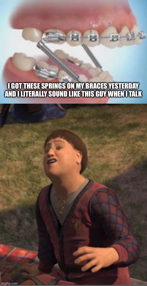 N e r d | I GOT THESE SPRINGS ON MY BRACES YESTERDAY AND I LITERALLY SOUND LIKE THIS GUY WHEN I TALK | image tagged in demisexual_sponge | made w/ Imgflip meme maker