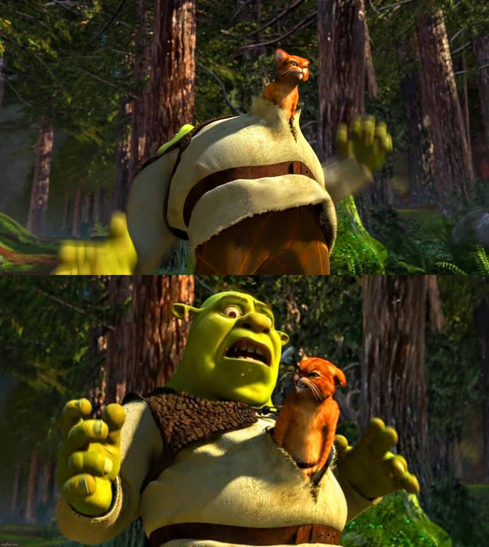 Shrek ALIEN reference Blank Meme Template