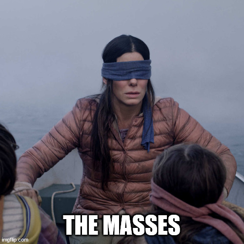 Bird Box Meme | THE MASSES | image tagged in memes,bird box | made w/ Imgflip meme maker