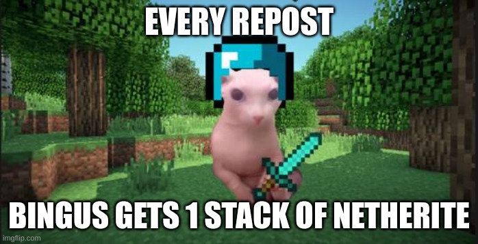 help a brother out .:) | EVERY REPOST; BINGUS GETS 1 STACK OF NETHERITE | made w/ Imgflip meme maker