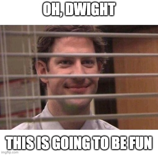 Jim Office Blinds | OH, DWIGHT; THIS IS GOING TO BE FUN | image tagged in jim office blinds | made w/ Imgflip meme maker