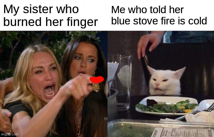 Woman Yelling At Cat | My sister who burned her finger; Me who told her blue stove fire is cold | image tagged in memes,woman yelling at cat | made w/ Imgflip meme maker