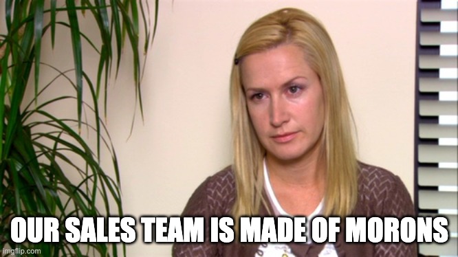 Angela the office | OUR SALES TEAM IS MADE OF MORONS | image tagged in angela the office | made w/ Imgflip meme maker