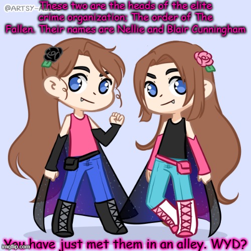 The Cunningham Twins; Leaders Of the Order Of The Fallen. Age: 17 | These two are the heads of the elite crime organization; The order of The Fallen. Their names are Nellie and Blair Cunningham; You have just met them in an alley. WYD? | made w/ Imgflip meme maker