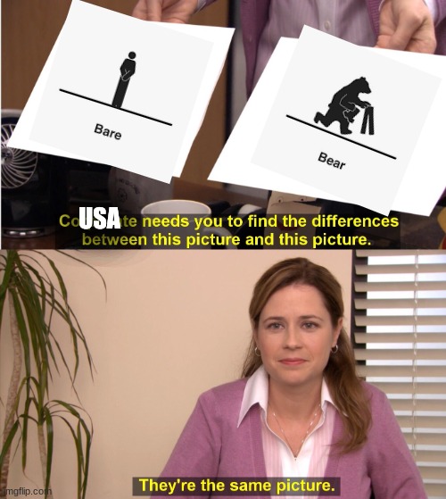 Bear | USA | image tagged in memes,they're the same picture | made w/ Imgflip meme maker