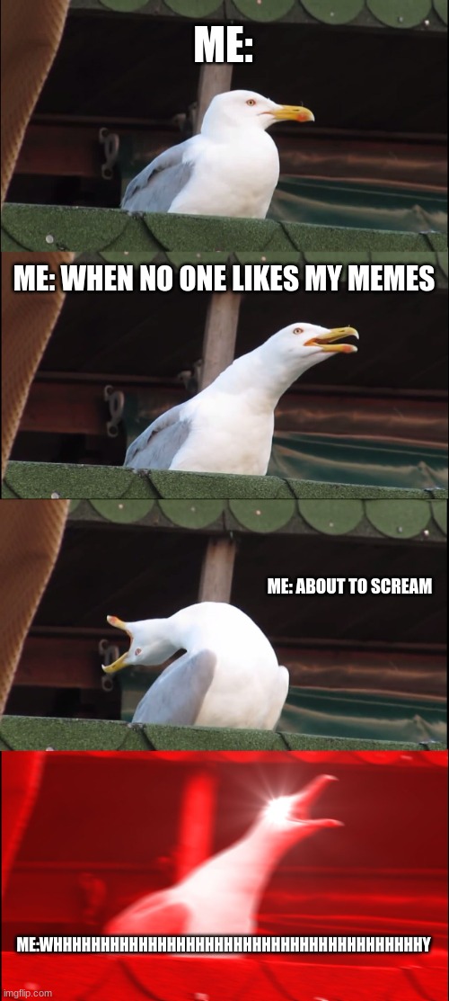 Why people | ME:; ME: WHEN NO ONE LIKES MY MEMES; ME: ABOUT TO SCREAM; ME:WHHHHHHHHHHHHHHHHHHHHHHHHHHHHHHHHHHHHHHHY | image tagged in memes,inhaling seagull | made w/ Imgflip meme maker