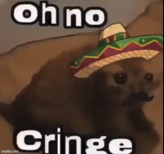 Oh no cringe (mexican version) | image tagged in oh no cringe mexican version | made w/ Imgflip meme maker