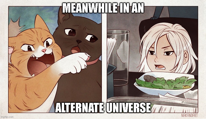 Meanwhile in an alternate universe | MEANWHILE IN AN; ALTERNATE UNIVERSE | image tagged in cat yelling at girl | made w/ Imgflip meme maker