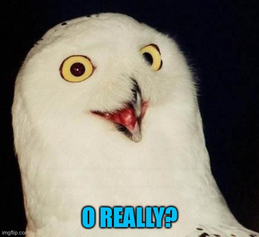 O RLY? | O REALLY? | image tagged in o rly | made w/ Imgflip meme maker