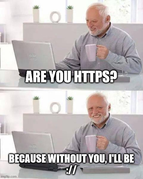 I know this everyone uses this, but idc | ARE YOU HTTPS? BECAUSE WITHOUT YOU, I'LL BE
:// | image tagged in memes,hide the pain harold | made w/ Imgflip meme maker