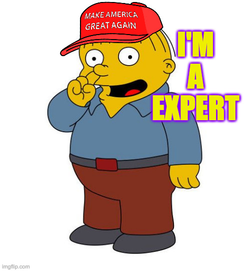 Ralph Wiggums Picking Nose | I'M A EXPERT | image tagged in ralph wiggums picking nose | made w/ Imgflip meme maker