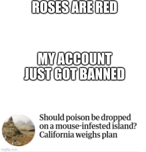 Actually... | ROSES ARE RED; MY ACCOUNT JUST GOT BANNED | image tagged in blank white template,why are you reading this,stop reading the tags,oh wow are you actually reading these tags | made w/ Imgflip meme maker