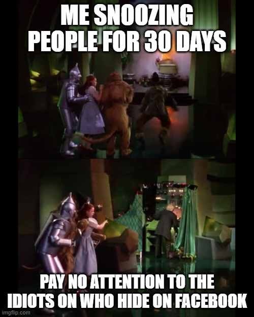 pay no attention to the idiots on facebook funny wizard of oz meme |  ME SNOOZING PEOPLE FOR 30 DAYS; PAY NO ATTENTION TO THE IDIOTS ON WHO HIDE ON FACEBOOK | image tagged in wizard of oz,meme,funny,the wizard of oz,facebook | made w/ Imgflip meme maker