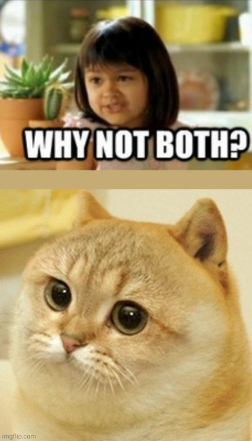 Cat Doge | image tagged in cat doge | made w/ Imgflip meme maker