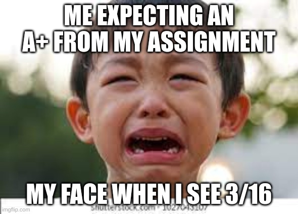 this me |  ME EXPECTING AN A+ FROM MY ASSIGNMENT; MY FACE WHEN I SEE 3/16 | image tagged in sad but true | made w/ Imgflip meme maker