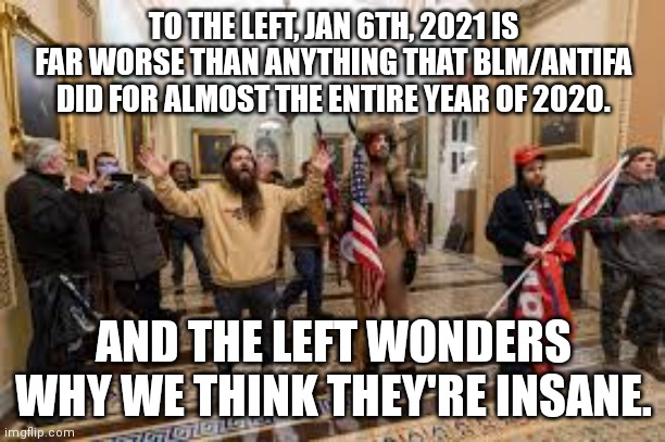Capitol riot | TO THE LEFT, JAN 6TH, 2021 IS FAR WORSE THAN ANYTHING THAT BLM/ANTIFA DID FOR ALMOST THE ENTIRE YEAR OF 2020. AND THE LEFT WONDERS WHY WE TH | image tagged in capitol riot | made w/ Imgflip meme maker