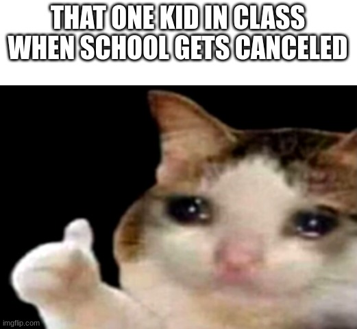 Sad cat thumbs up | THAT ONE KID IN CLASS WHEN SCHOOL GETS CANCELED | image tagged in sad cat thumbs up | made w/ Imgflip meme maker