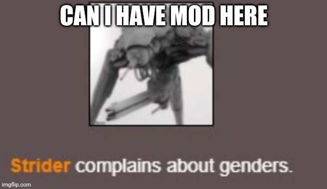 i has owner in msmg | CAN I HAVE MOD HERE | image tagged in genders | made w/ Imgflip meme maker