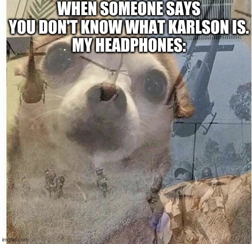 PTSD Chihuahua | WHEN SOMEONE SAYS YOU DON'T KNOW WHAT KARLSON IS.
MY HEADPHONES: | image tagged in ptsd chihuahua | made w/ Imgflip meme maker