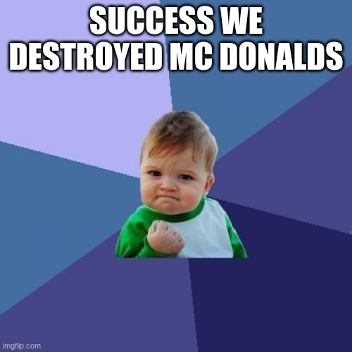 Success Kid | SUCCESS WE DESTROYED MC DONALDS | image tagged in memes,success kid | made w/ Imgflip meme maker