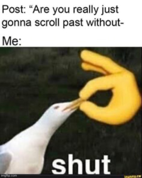 made w/ Imgflip meme maker