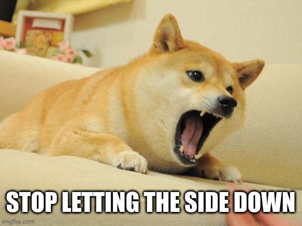 ANGRY DOGE | STOP LETTING THE SIDE DOWN | image tagged in angry doge | made w/ Imgflip meme maker