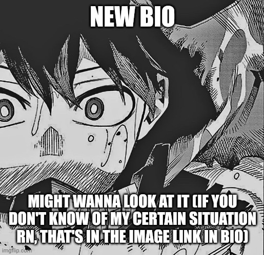 vigilante deku | NEW BIO; MIGHT WANNA LOOK AT IT (IF YOU DON'T KNOW OF MY CERTAIN SITUATION RN, THAT'S IN THE IMAGE LINK IN BIO) | image tagged in vigilante deku | made w/ Imgflip meme maker