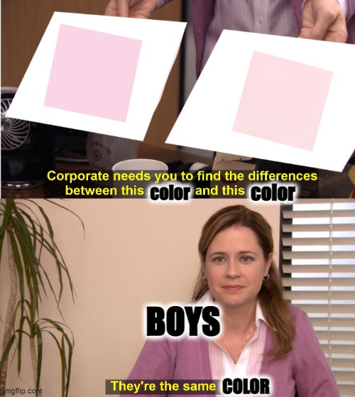 They're The Same Picture | color; color; BOYS; COLOR | image tagged in memes,they're the same picture | made w/ Imgflip meme maker