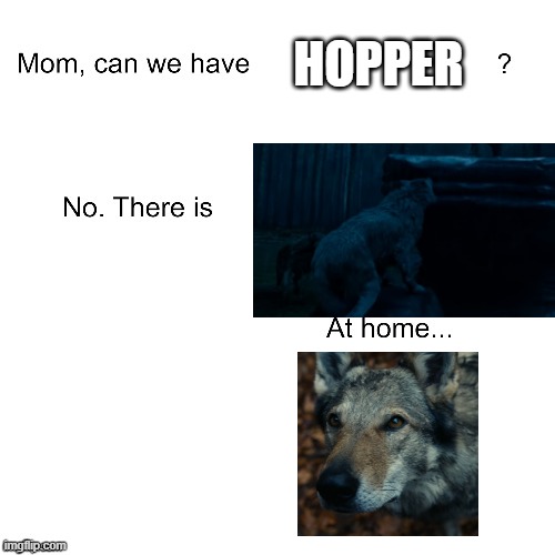 Mom can we have | HOPPER | image tagged in mom can we have | made w/ Imgflip meme maker